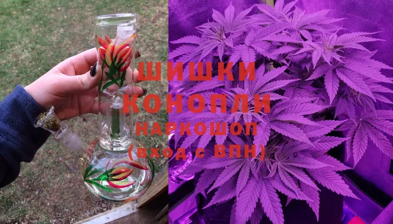 Конопля OG Kush  купить  цена  Рославль 